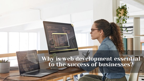 Why is web development essential to the success of businesses?